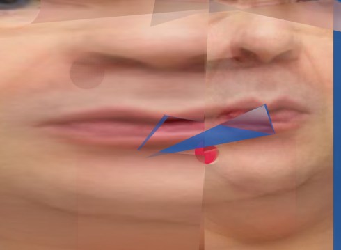 il video glielo sbattevo sulla testa